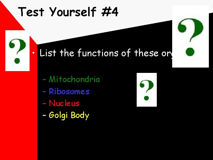 Test Yourself #4 • List the functions of these organelles: – – Mitochondria Ribosomes