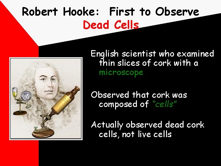 Robert Hooke: First to Observe Dead Cells English scientist who examined thin slices of