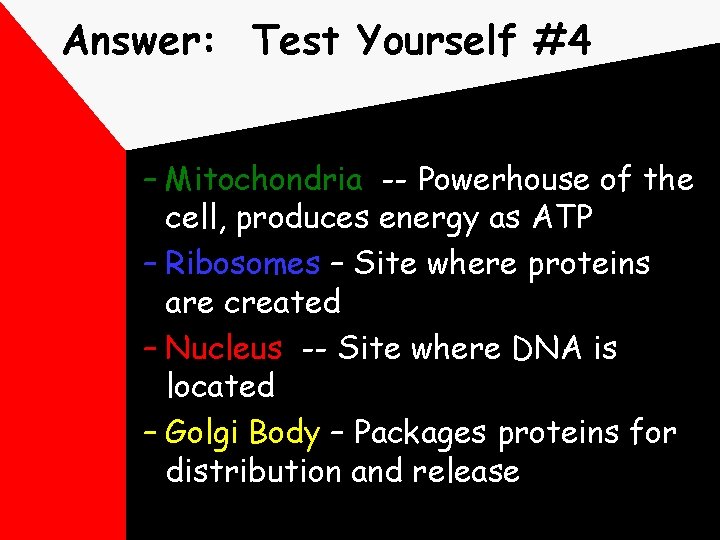 Answer: Test Yourself #4 – Mitochondria -- Powerhouse of the cell, produces energy as