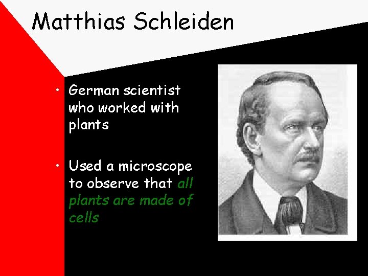 Matthias Schleiden • German scientist who worked with plants • Used a microscope to