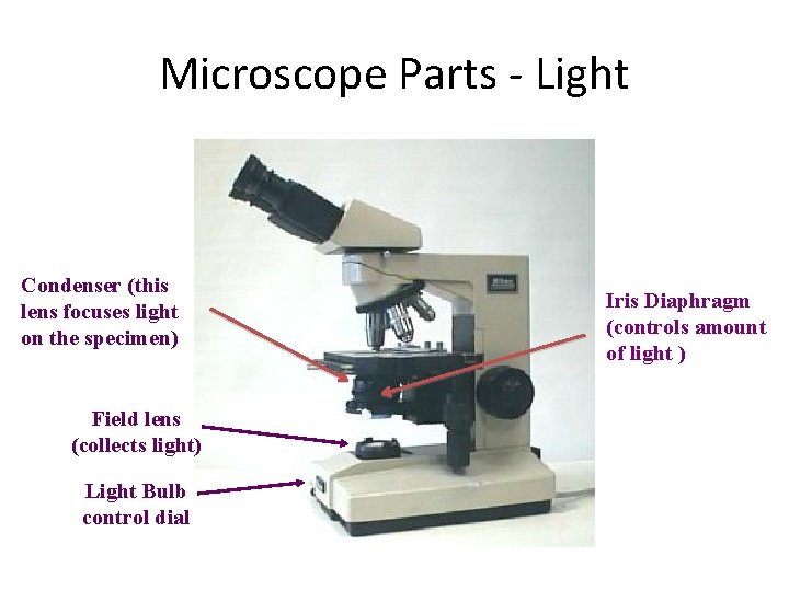 Microscope Parts - Light Condenser (this lens focuses light on the specimen) Field lens