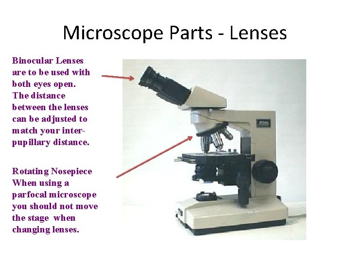 Microscope Parts - Lenses Binocular Lenses are to be used with both eyes open.