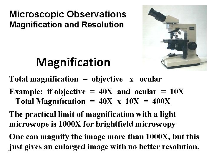 Microscopic Observations Magnification and Resolution Magnification Total magnification = objective x ocular Example: if