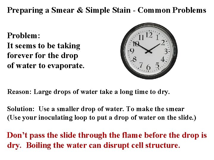 Preparing a Smear & Simple Stain - Common Problems Problem: It seems to be