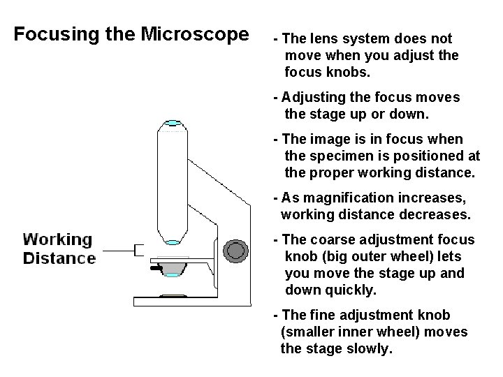 Focusing the Microscope - The lens system does not move when you adjust the