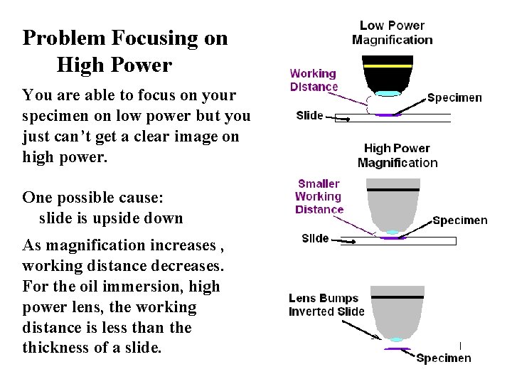 Problem Focusing on High Power You are able to focus on your specimen on