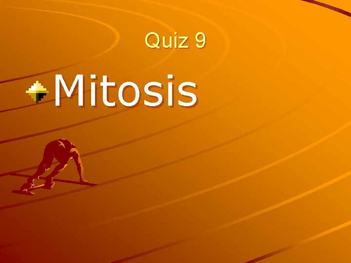 Quiz 9 Mitosis 