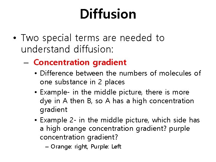 Diffusion • Two special terms are needed to understand diffusion: – Concentration gradient •