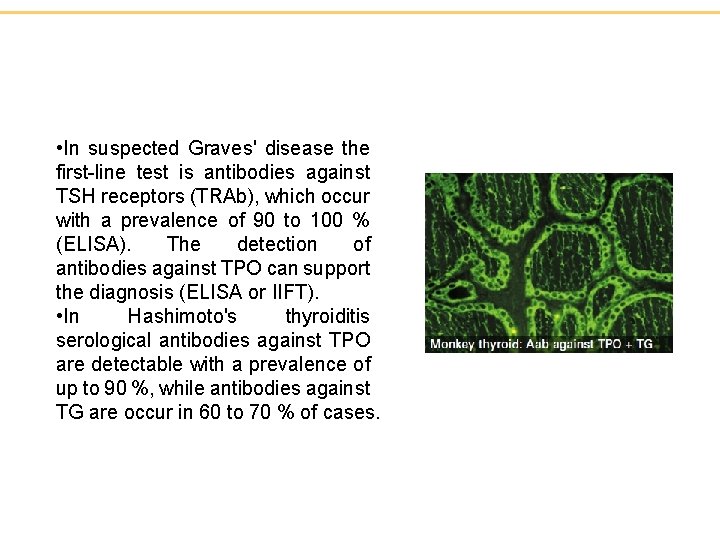 • In suspected Graves' disease the first-line test is antibodies against TSH receptors