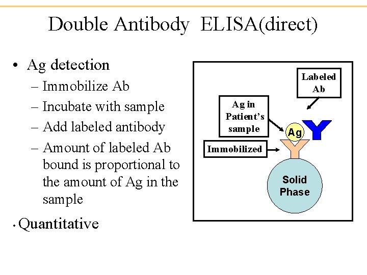 Double Antibody ELISA(direct) • Ag detection – Immobilize Ab – Incubate with sample –