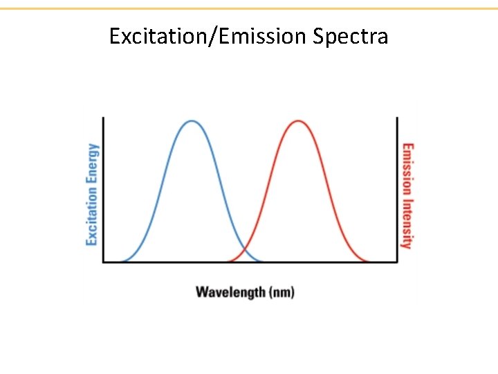 Excitation/Emission Spectra 