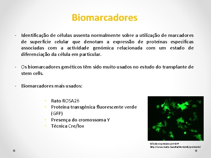 Biomarcadores - Identificação de células assenta normalmente sobre a utilização de marcadores de superfície