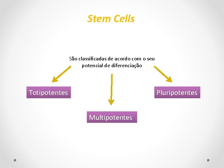 Stem Cells São classificadas de acordo com o seu potencial de diferenciação Totipotentes Pluripotentes