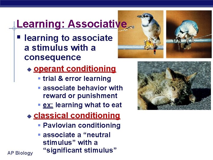 Learning: Associative § learning to associate a stimulus with a consequence u operant conditioning