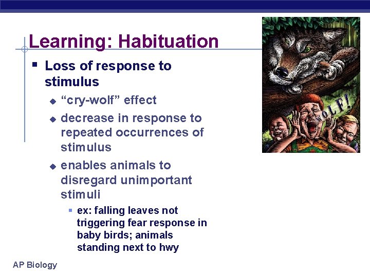 Learning: Habituation § Loss of response to stimulus u u u “cry-wolf” effect decrease