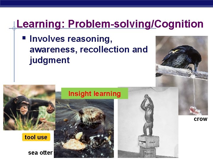 Learning: Problem-solving/Cognition § Involves reasoning, awareness, recollection and judgment Insight learning crow tool use