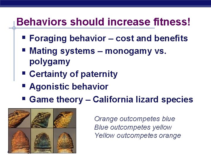 Behaviors should increase fitness! § Foraging behavior – cost and benefits § Mating systems