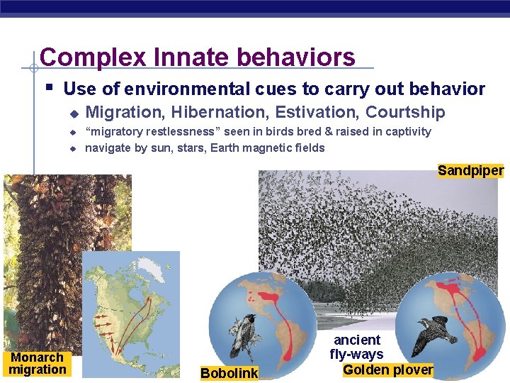 Complex Innate behaviors § Use of environmental cues to carry out behavior u u