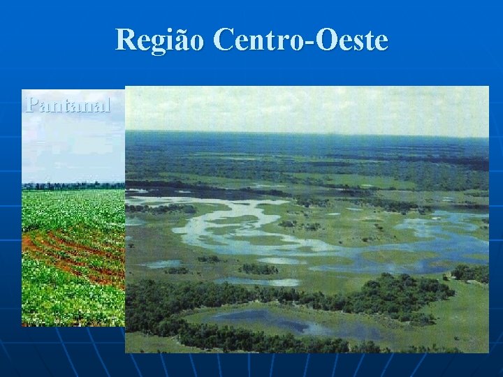 Região Centro-Oeste Pantanal Plantação de soja 