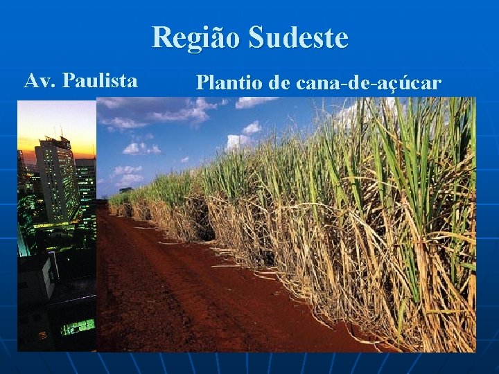 Região Sudeste Av. Paulista Plantio de cana-de-açúcar 