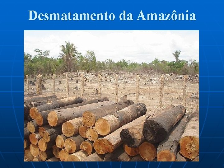 Desmatamento da Amazônia 