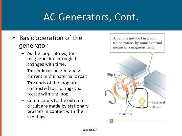 AC Generators, Cont. • Basic operation of the generator – As the loop rotates,