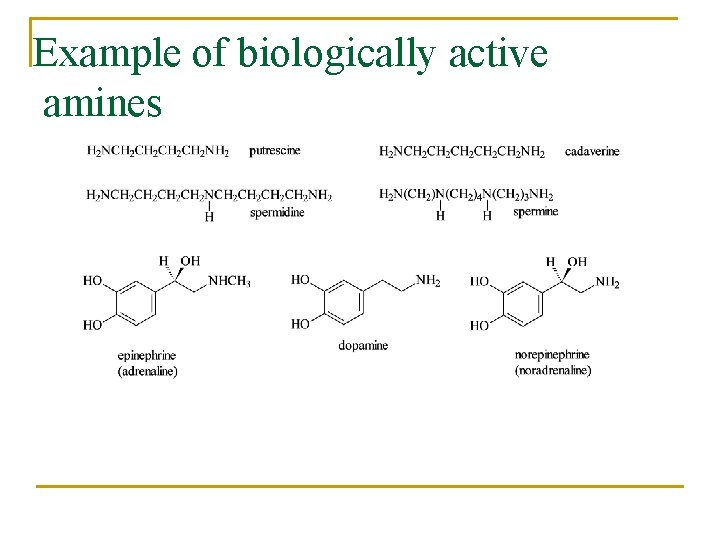 Example of biologically active amines 