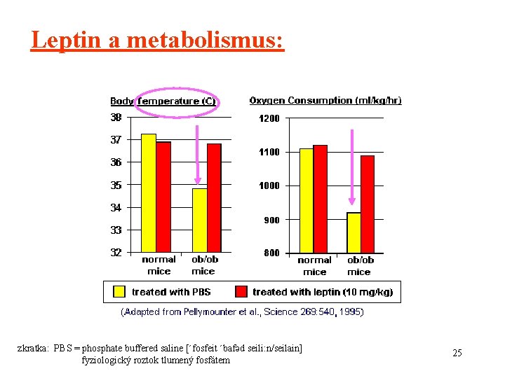Leptin a metabolismus: zkratka: PBS = phosphate buffered saline [´fosfeit ´bafәd seili: n/seilain] fyziologický