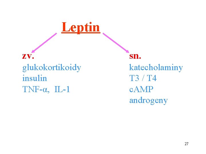 Leptin zv. sn. glukokortikoidy insulin TNF-α, IL-1 katecholaminy T 3 / T 4 c.