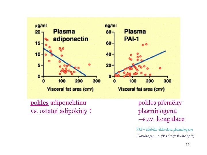 pokles adiponektinu vs. ostatní adipokiny ! pokles přeměny plasminogenu zv. koagulace PAI = inhibitor