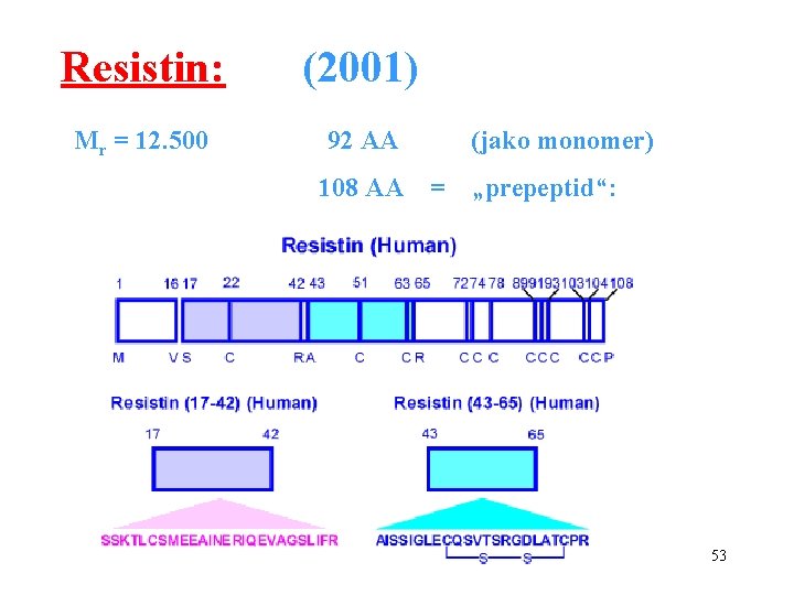 Resistin: (2001) Mr = 12. 500 92 AA 108 AA (jako monomer) = „prepeptid“: