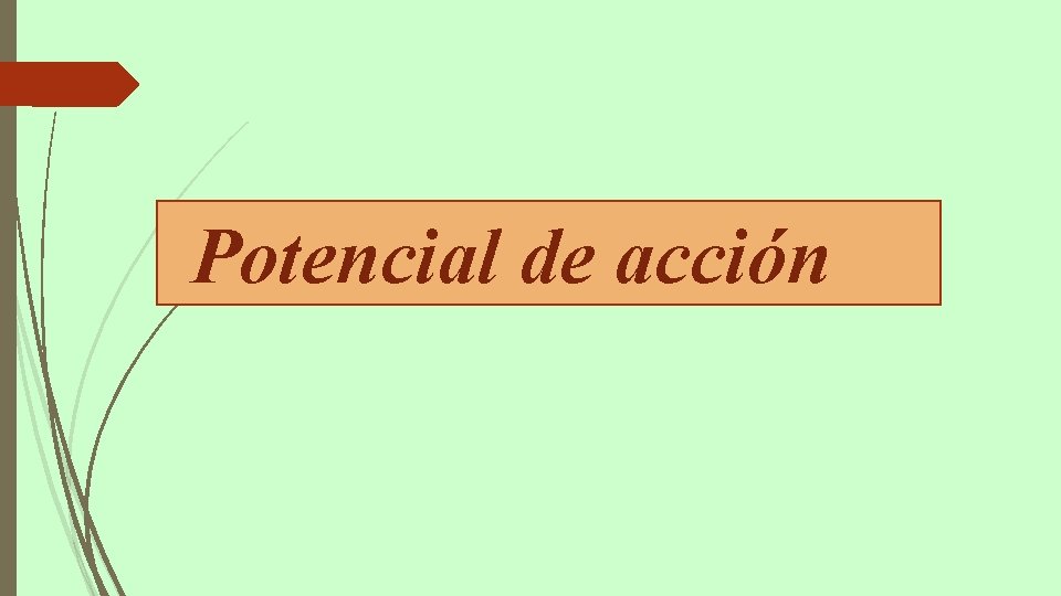 Potencial de acción 