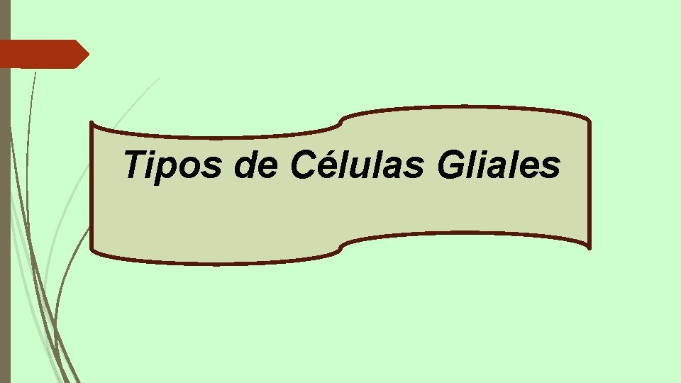 Tipos de Células Gliales 