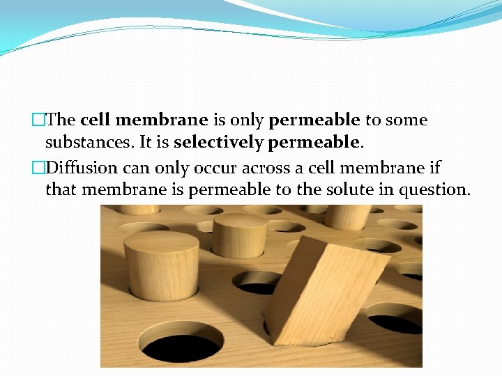 �The cell membrane is only permeable to some substances. It is selectively permeable. �Diffusion