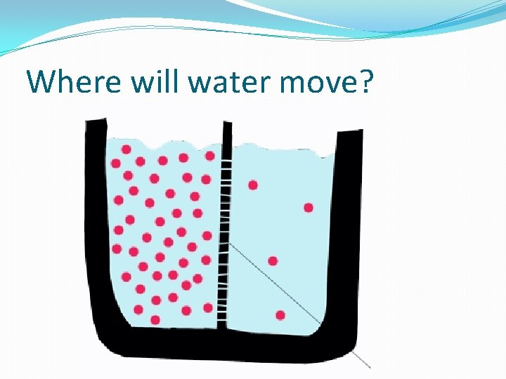 Where will water move? 