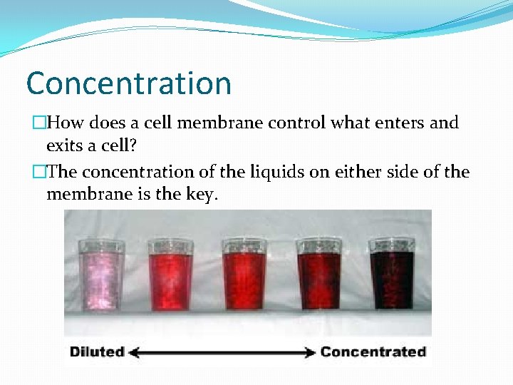 Concentration �How does a cell membrane control what enters and exits a cell? �The