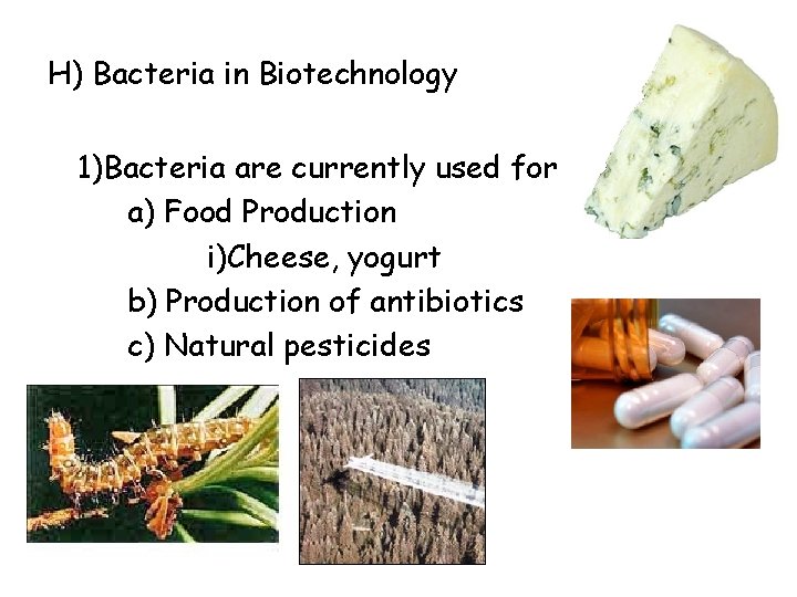 H) Bacteria in Biotechnology 1)Bacteria are currently used for a) Food Production i)Cheese, yogurt