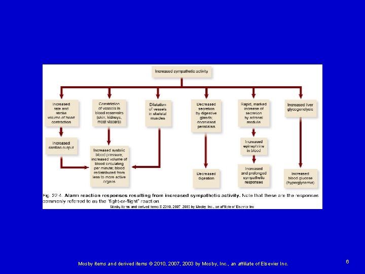 Mosby items and derived items © 2010, 2007, 2003 by Mosby, Inc. , an