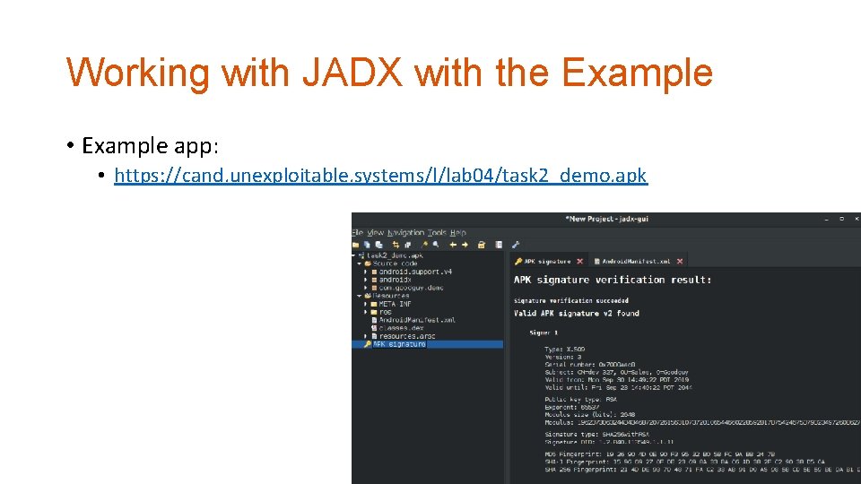 Working with JADX with the Example • Example app: • https: //cand. unexploitable. systems/l/lab