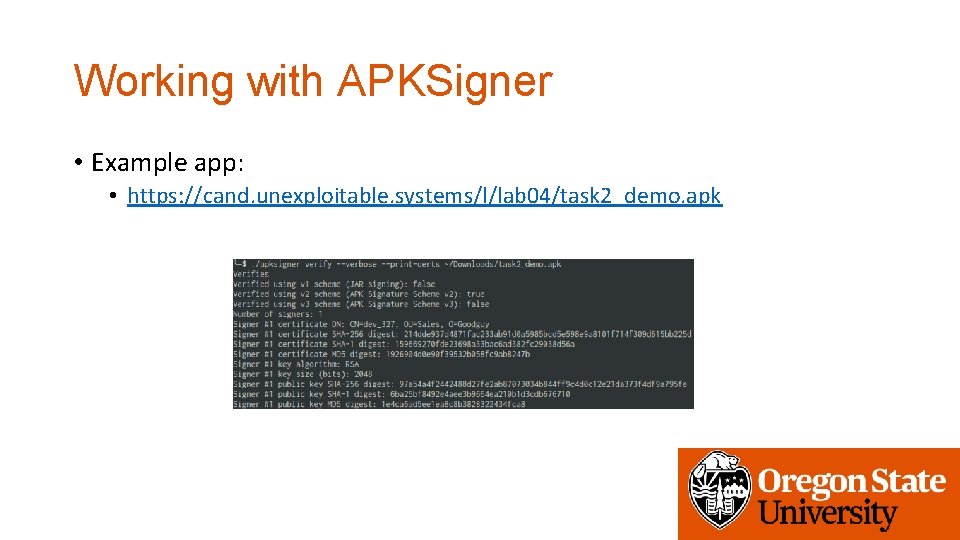 Working with APKSigner • Example app: • https: //cand. unexploitable. systems/l/lab 04/task 2_demo. apk