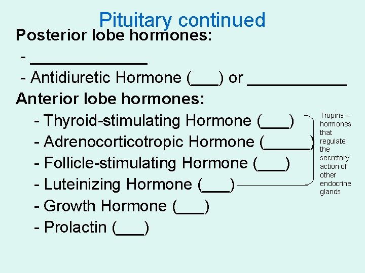 Pituitary continued Posterior lobe hormones: - _______ - Antidiuretic Hormone (___) or ______ Anterior