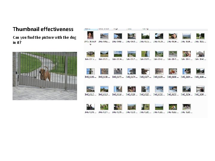 Thumbnail effectiveness Can you find the picture with the dog in it? 