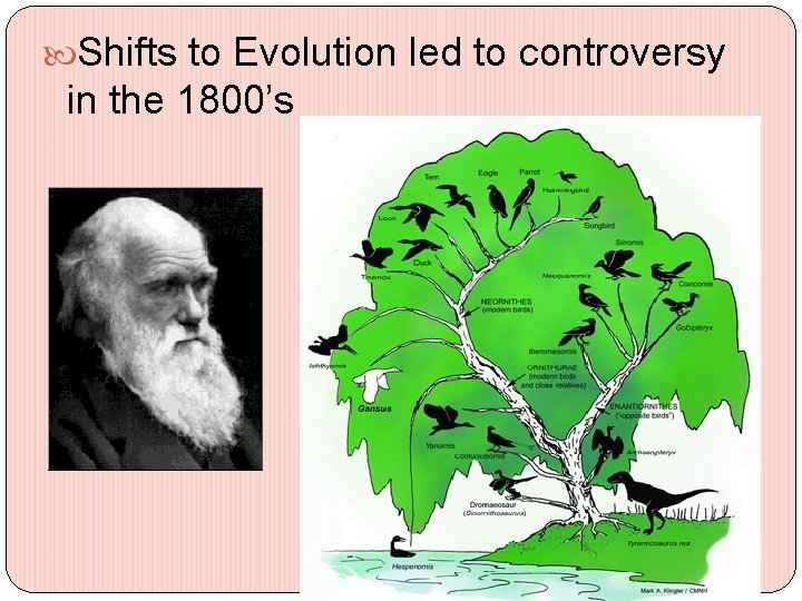  Shifts to Evolution led to controversy in the 1800’s 