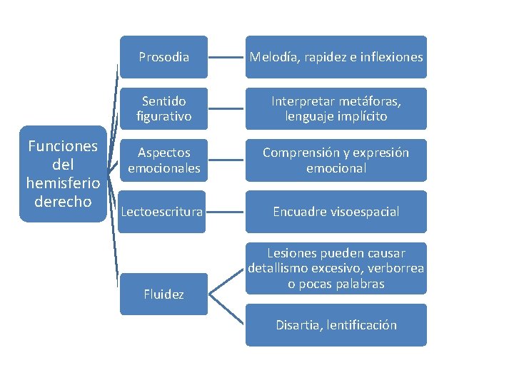 Funciones del hemisferio derecho Prosodia Melodía, rapidez e inflexiones Sentido figurativo Interpretar metáforas, lenguaje