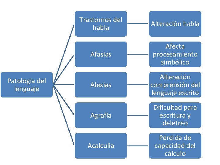 Patología del lenguaje Trastornos del habla Alteración habla Afasias Afecta procesamiento simbólico Alexias Alteración