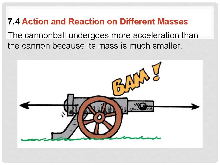 7. 4 Action and Reaction on Different Masses The cannonball undergoes more acceleration than