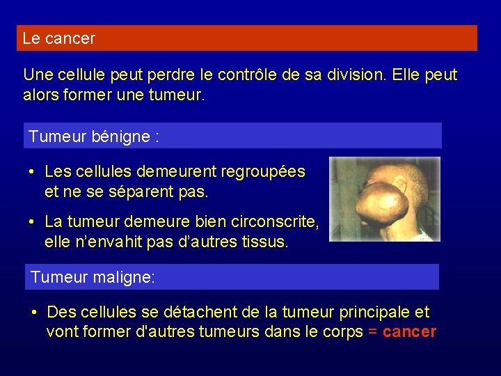 Le cancer Une cellule peut perdre le contrôle de sa division. Elle peut alors