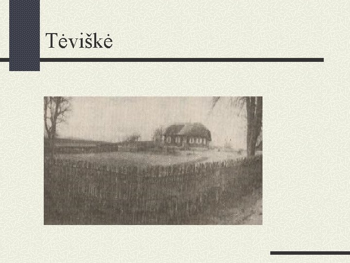 Tėviškė 