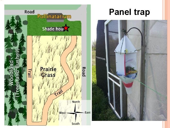 Panel trap 