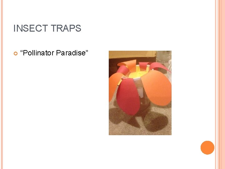 INSECT TRAPS “Pollinator Paradise” 